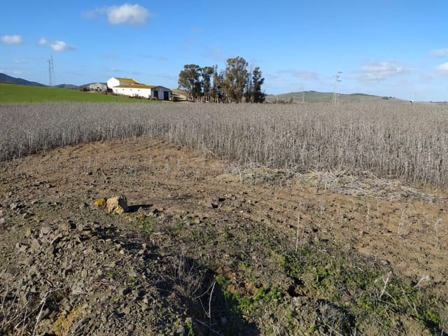 Ubebygd land til salgs i Medina-Sidonia - € 185 000 (Ref: 9927351)