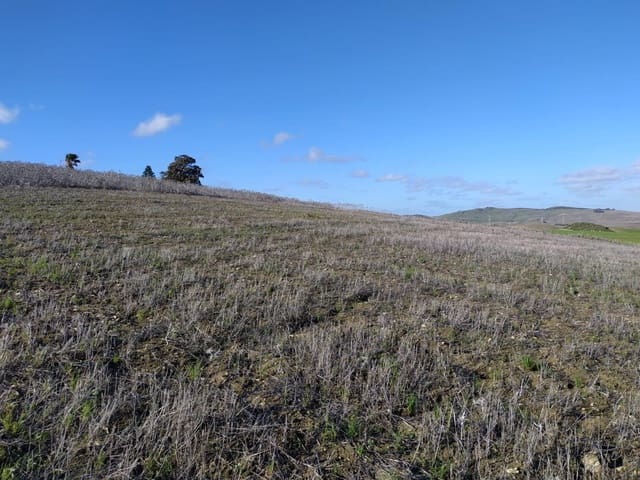 Ubebygd land til salgs i Medina-Sidonia - € 185 000 (Ref: 9927351)