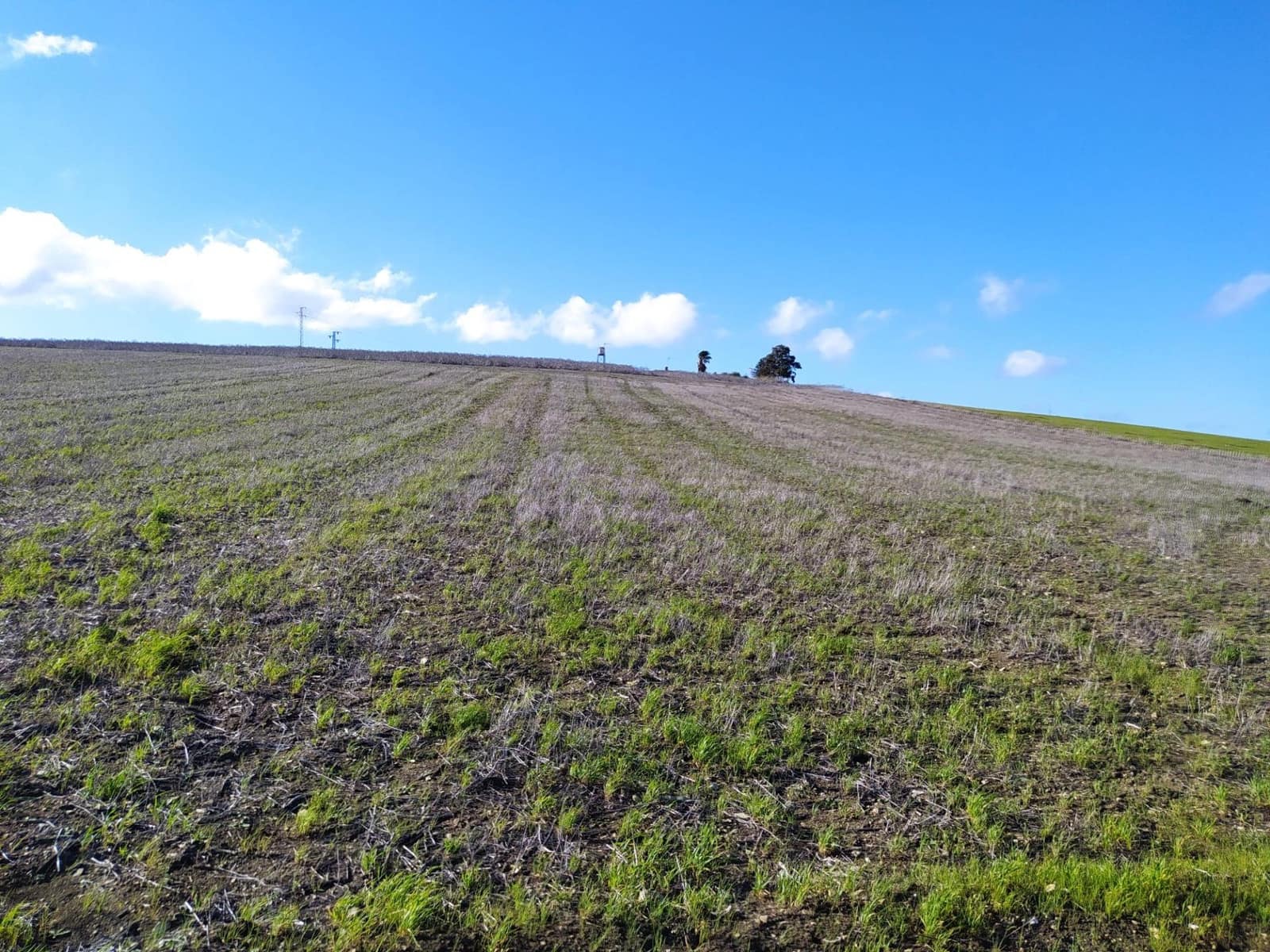 Undeveloped Land for sale in Medina-Sidonia - € 185,000 (Ref: 9927351)