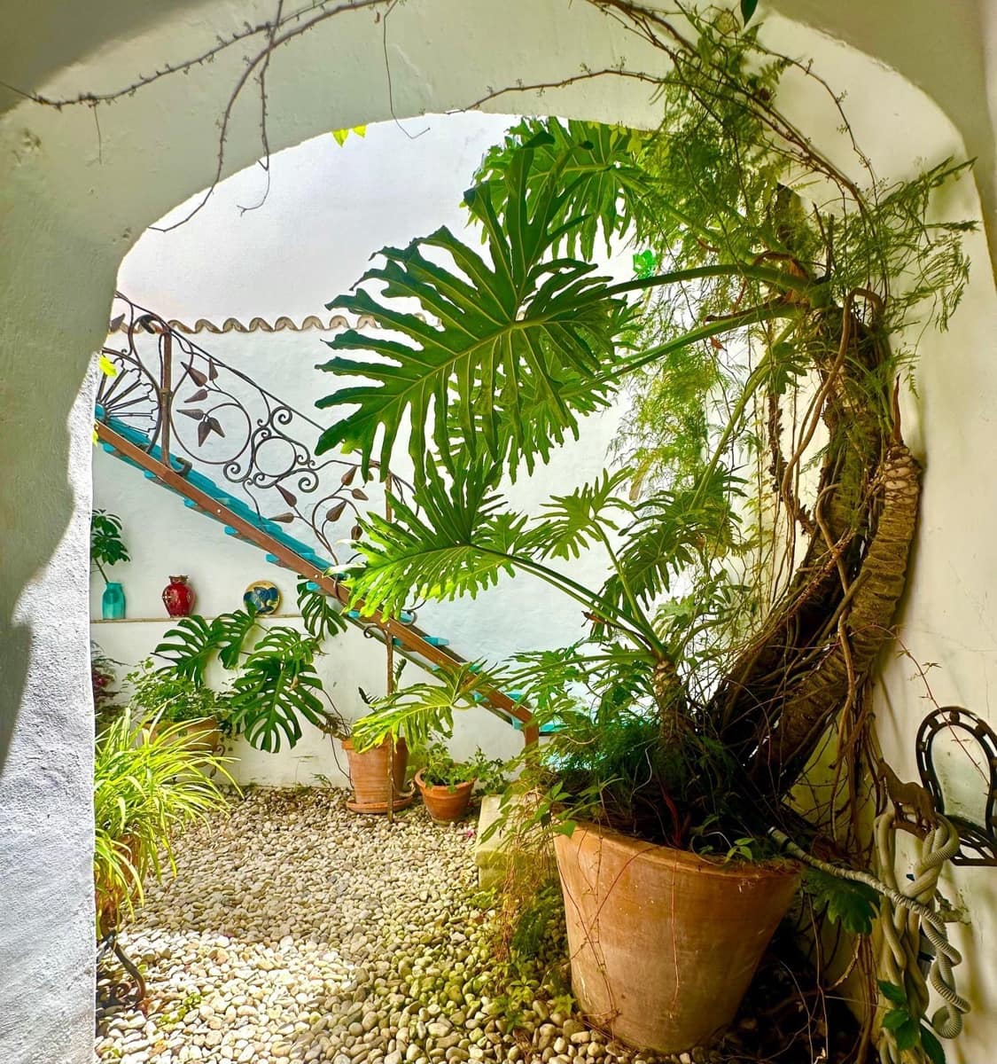 4 sypialnia Dom na sprzedaż w Vejer de la Frontera - 495 000 € (Ref: 9934161)