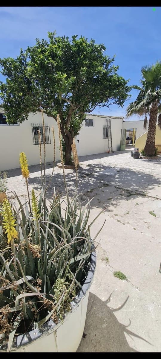 7 soverom Villa til salgs i El Palmar med svømmebasseng - € 1 400 000 (Ref: 9942464)