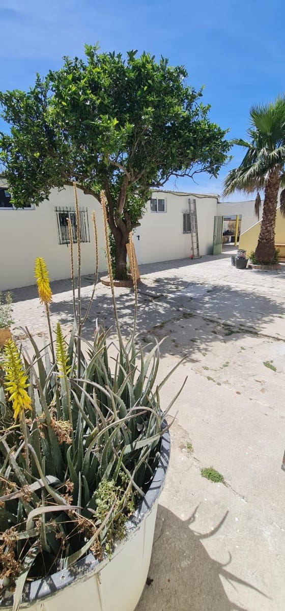 7 soverom Villa til salgs i El Palmar med svømmebasseng - € 1 400 000 (Ref: 9942464)