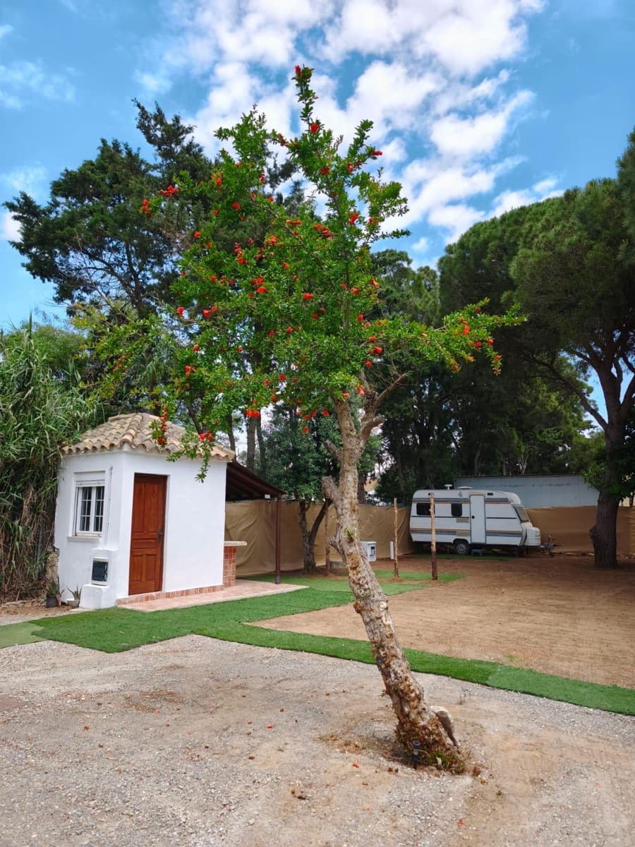 7 soverom Villa til salgs i El Palmar med svømmebasseng - € 1 400 000 (Ref: 9942464)