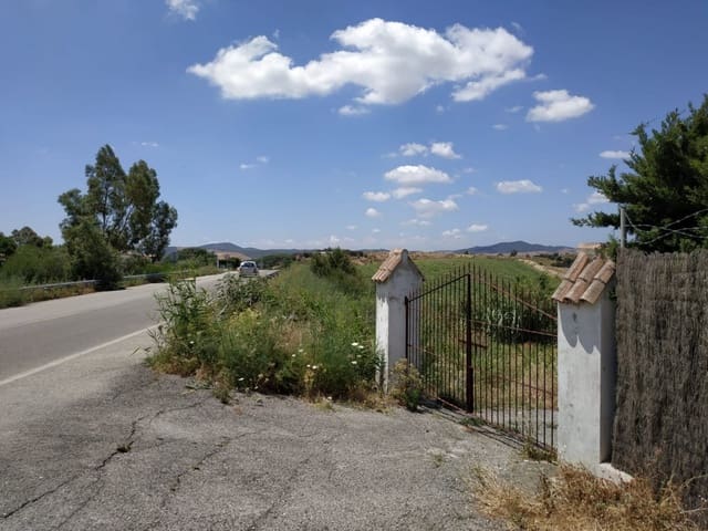 Finca/Casa Rural en Medina-Sidonia en venta - 160.000 € (Ref: 9978780)