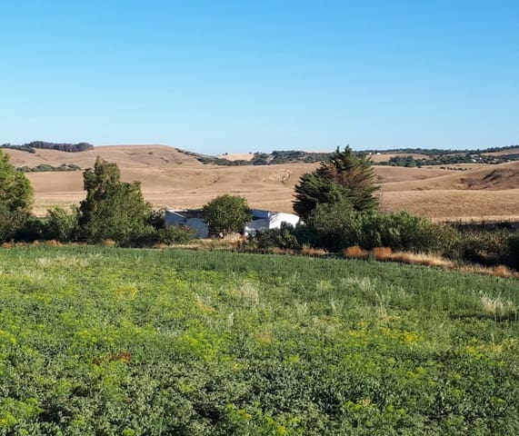 Finca/Casa Rural en Medina-Sidonia en venta - 160.000 € (Ref: 9978780)