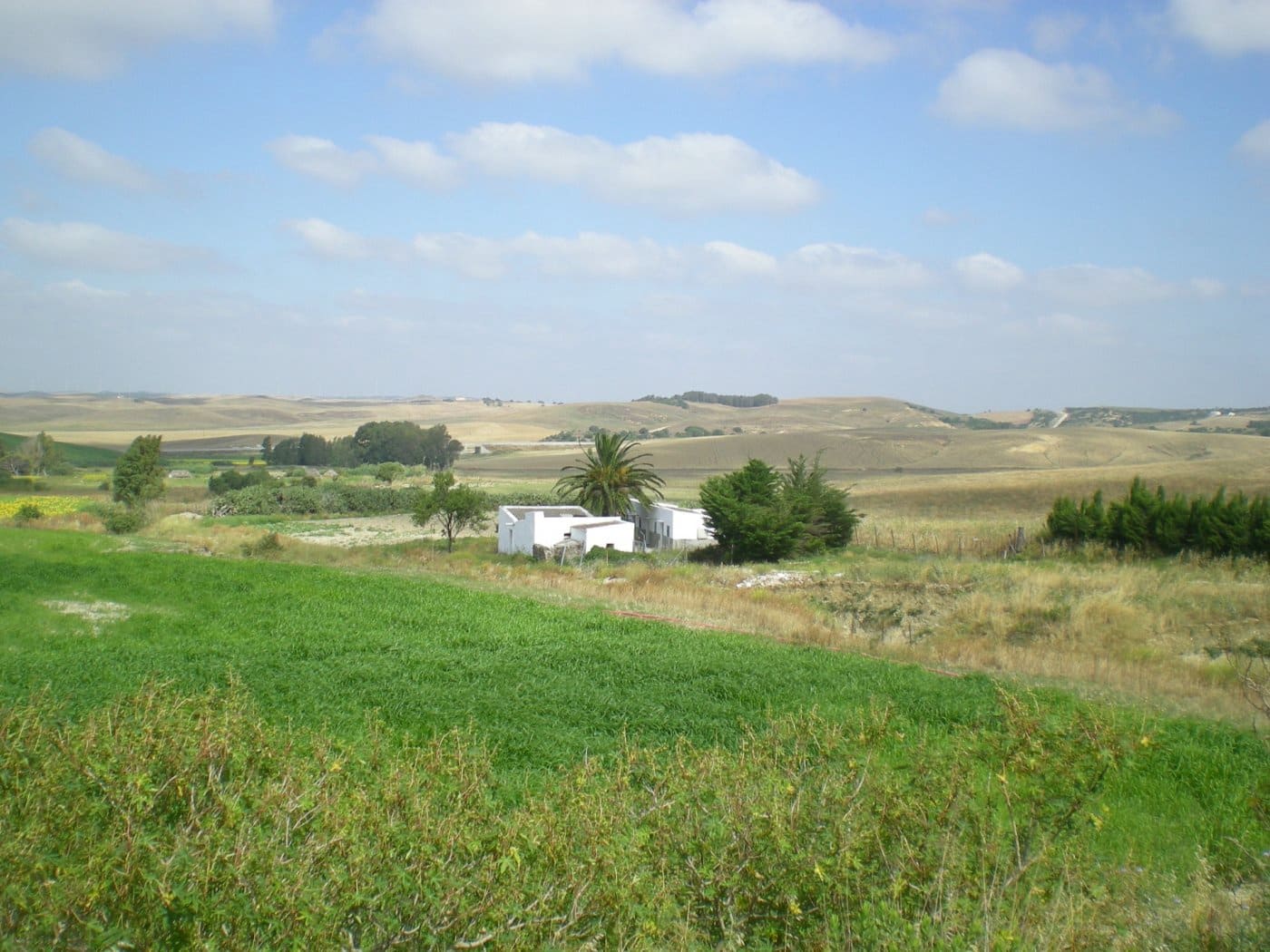 Finca/Country House for sale in Medina-Sidonia - € 160,000 (Ref: 9978780)