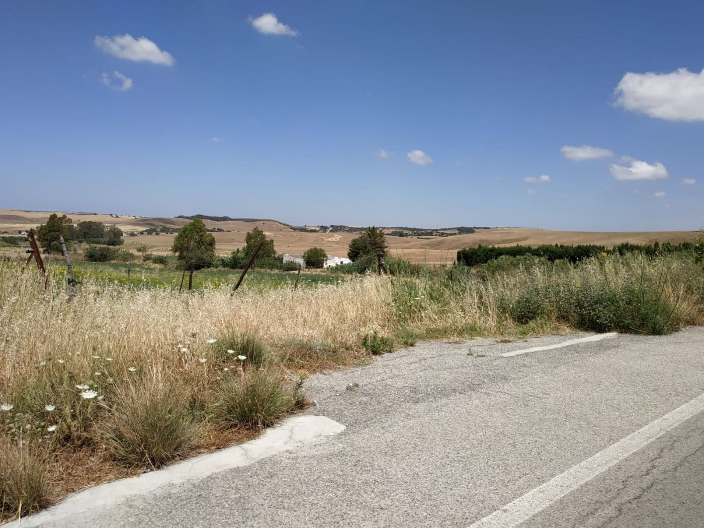 Finca/Country House for sale in Medina-Sidonia - € 160,000 (Ref: 9978780)