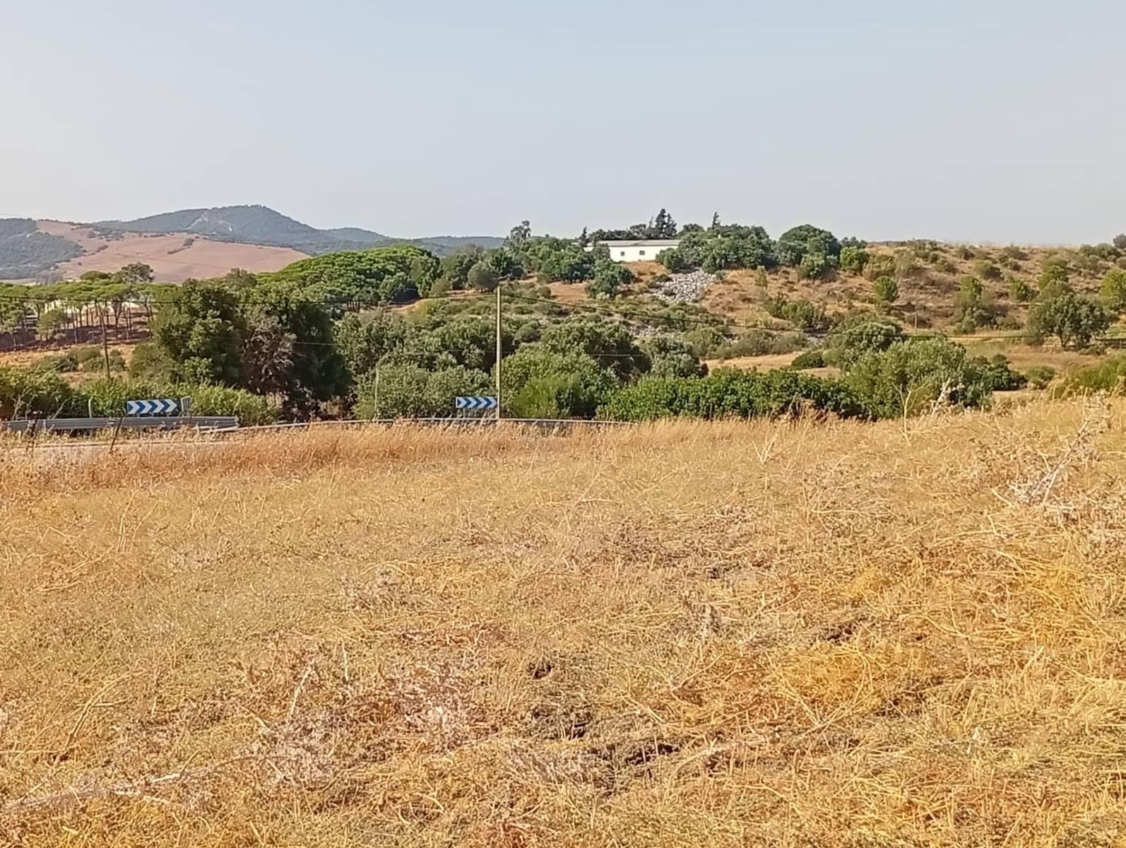 Finca/Country House for sale in Medina-Sidonia - € 160,000 (Ref: 9978780)