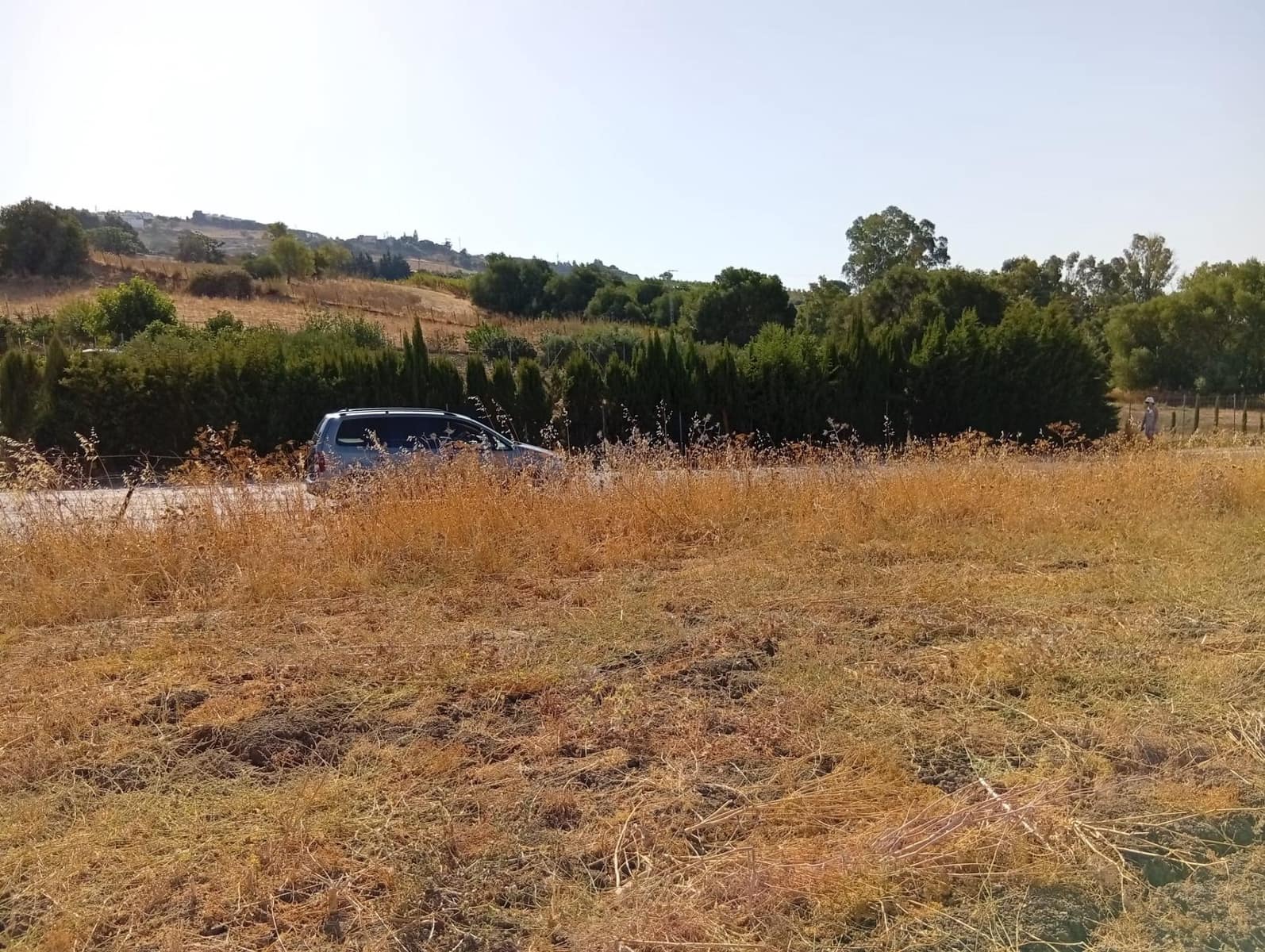 Finca/Country House for sale in Medina-Sidonia - € 160,000 (Ref: 9978780)