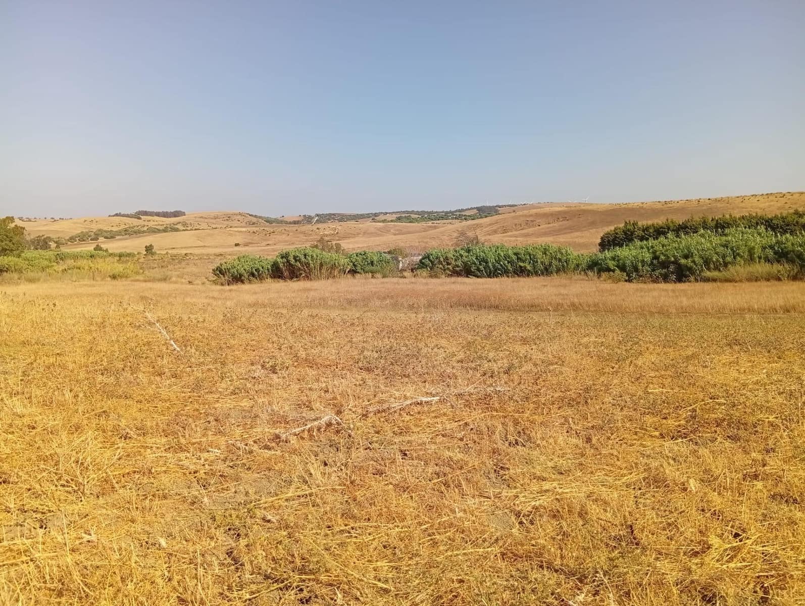 Finca/Country House for sale in Medina-Sidonia - € 160,000 (Ref: 9978780)