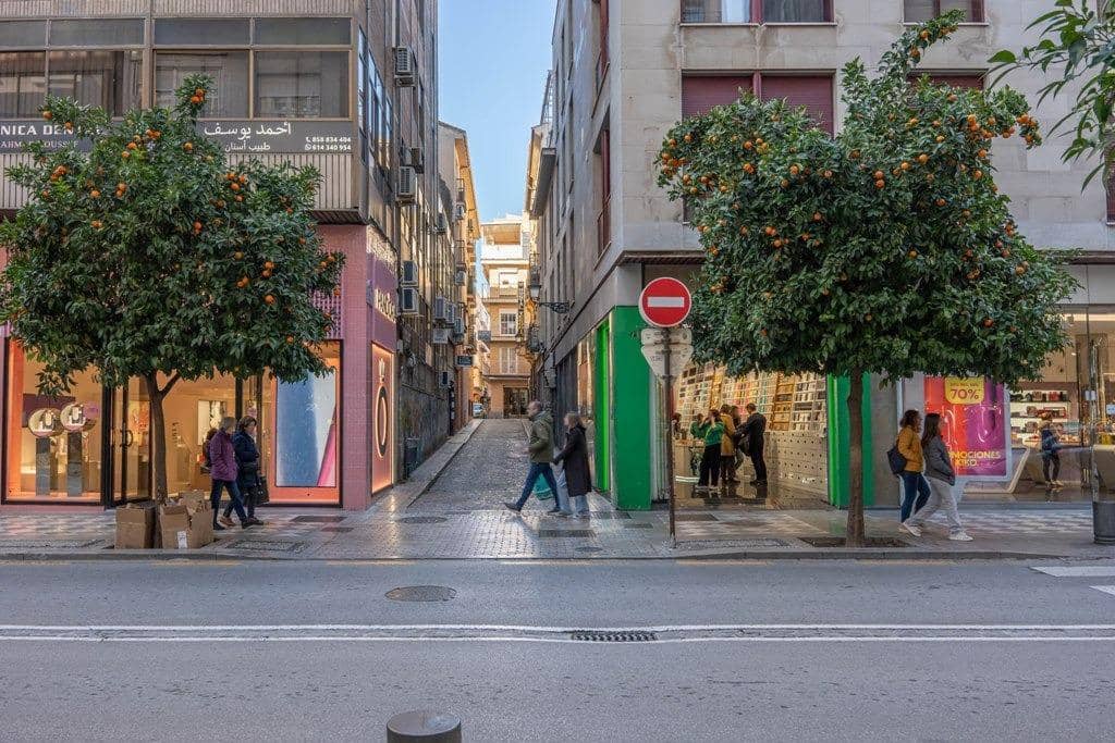Piso de 3 habitaciones en Granada ciudad en venta - 280.000 € (Ref: 9814484)