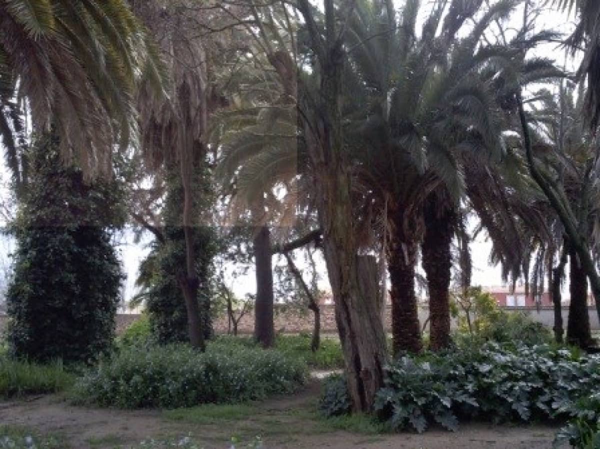8 sypialnia Finka/Dom wiejski na sprzedaż w La Carolina z basenem - 399 000 € (Ref: 9814522)