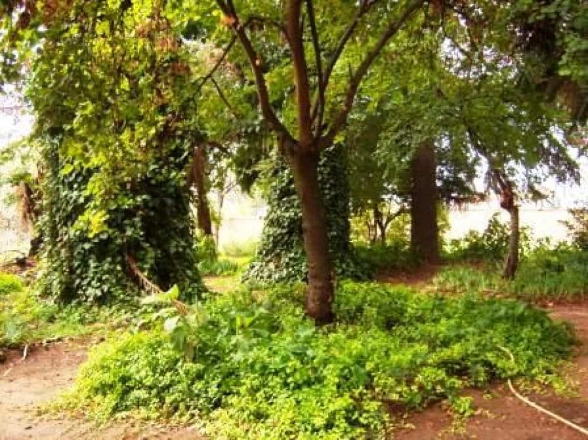8 sypialnia Finka/Dom wiejski na sprzedaż w La Carolina z basenem - 399 000 € (Ref: 9814522)
