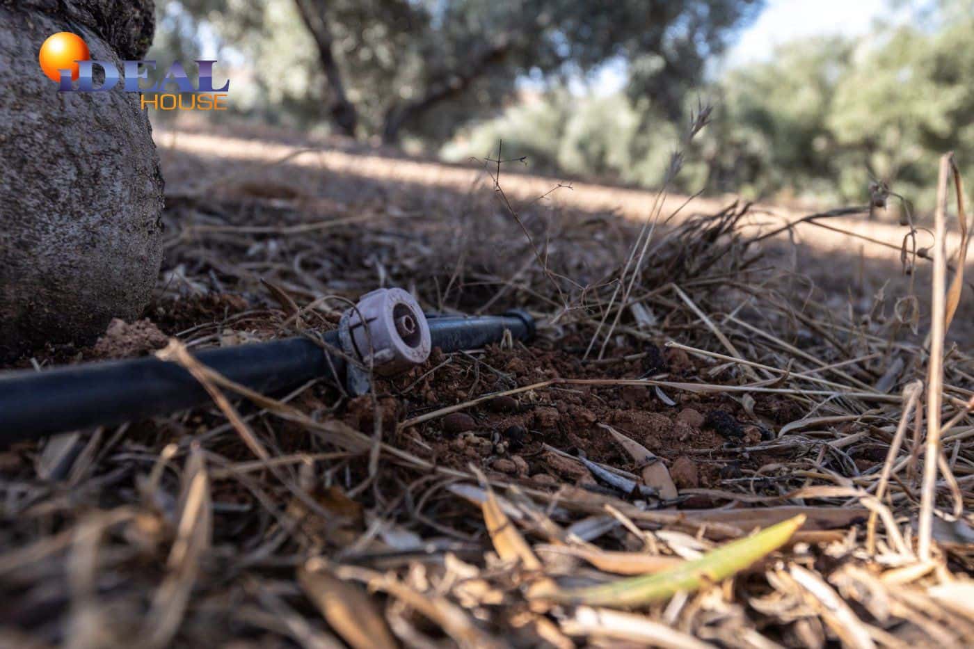 2 bedroom Finca/Country House for sale in Cogollos Vega with pool - € 139,900 (Ref: 9433682)