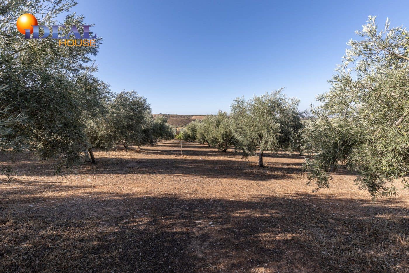 2 bedroom Finca/Country House for sale in Cogollos Vega with pool - € 139,900 (Ref: 9433682)