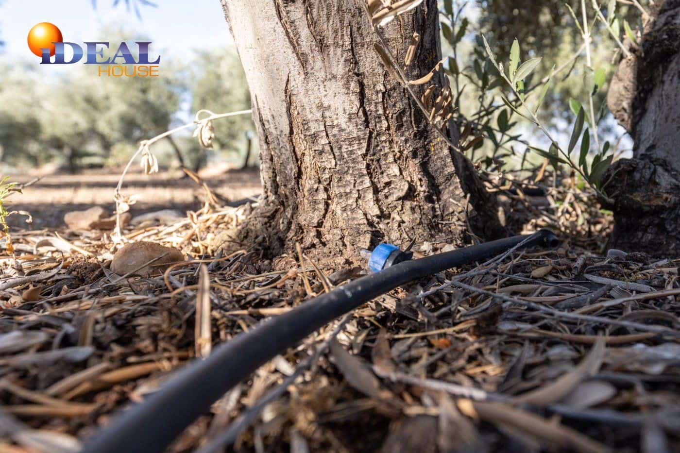 2 bedroom Finca/Country House for sale in Cogollos Vega with pool - € 139,900 (Ref: 9433682)