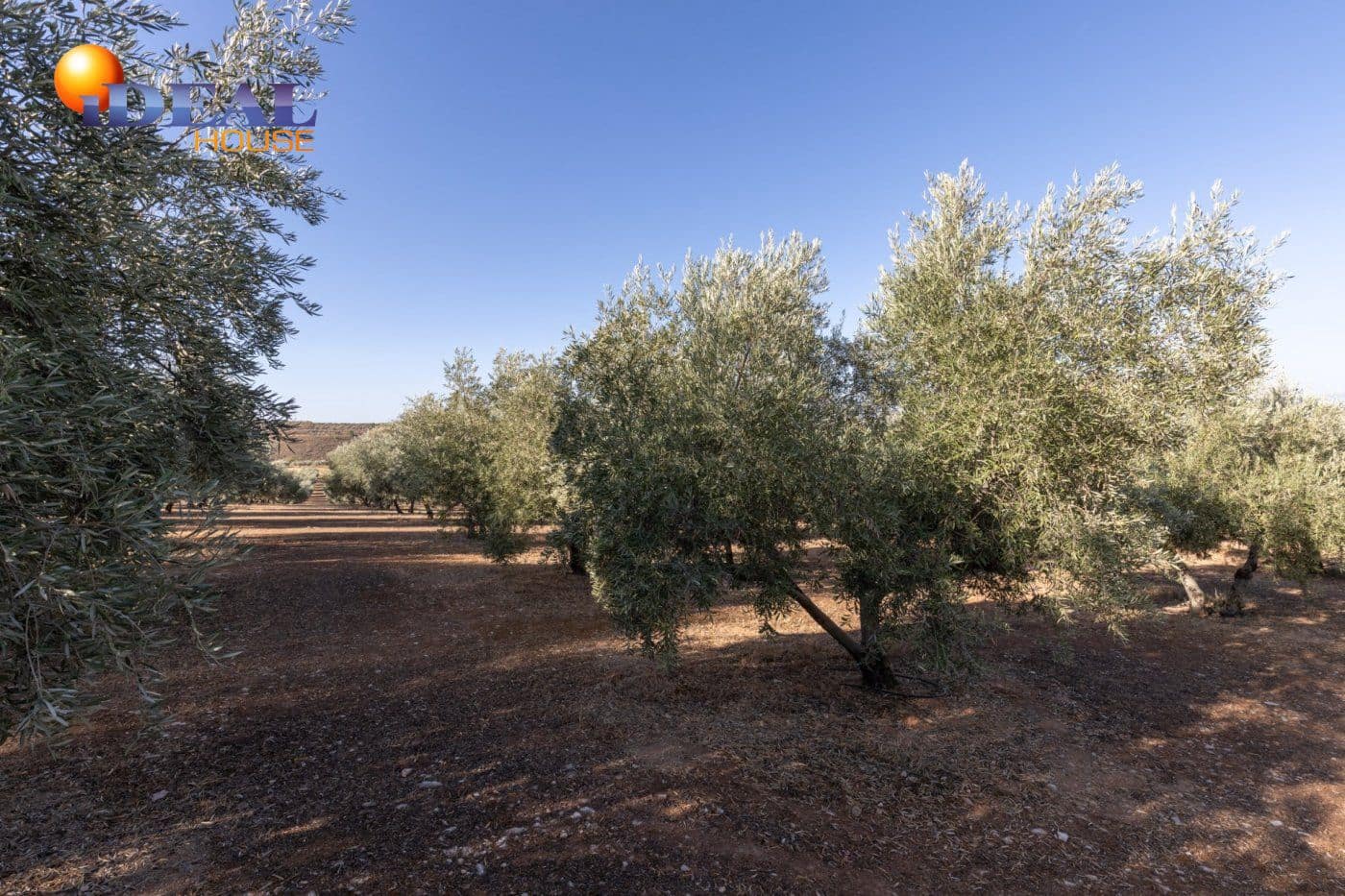 2 bedroom Finca/Country House for sale in Cogollos Vega with pool - € 139,900 (Ref: 9433682)