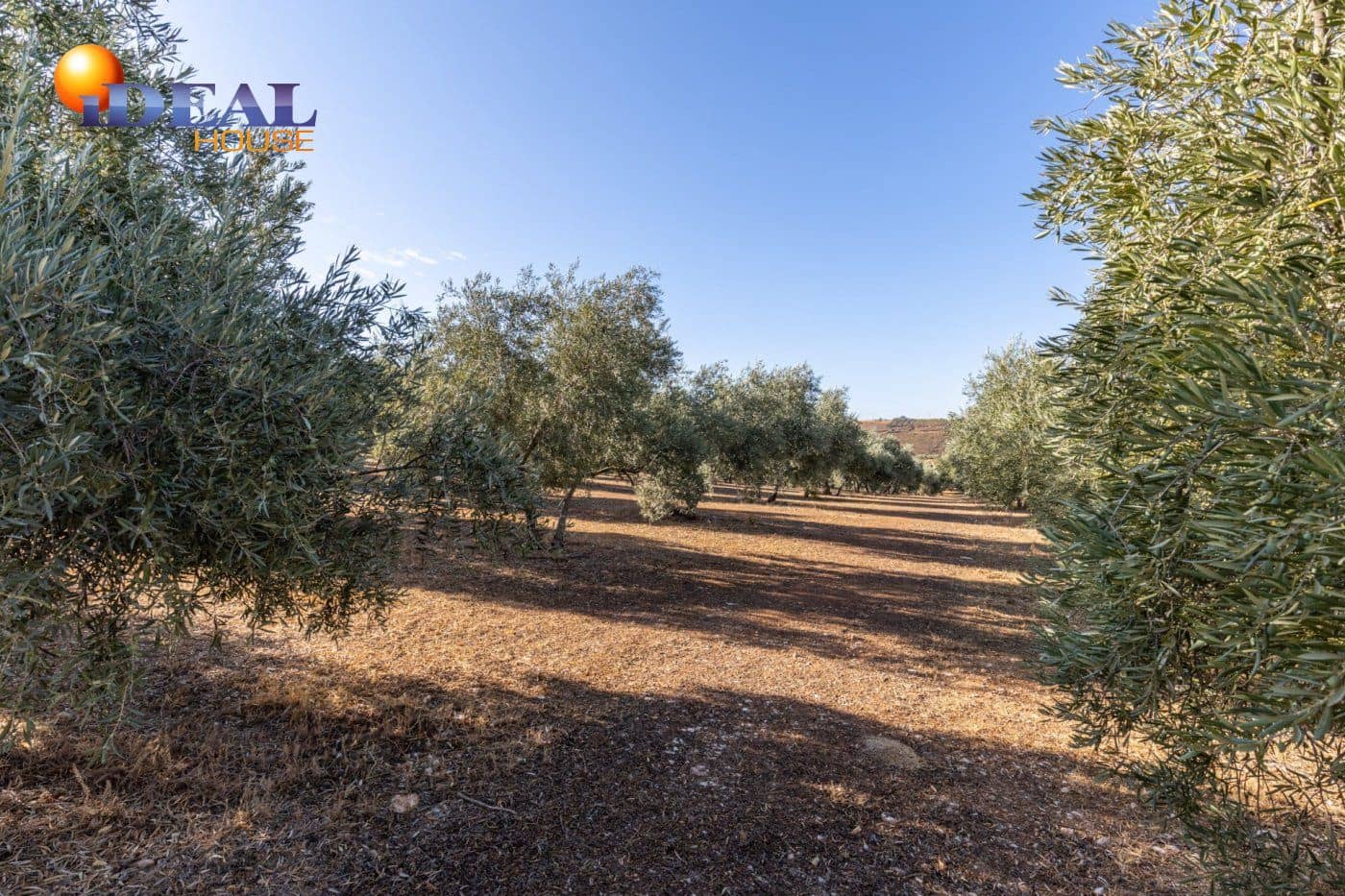 2 bedroom Finca/Country House for sale in Cogollos Vega with pool - € 139,900 (Ref: 9433682)