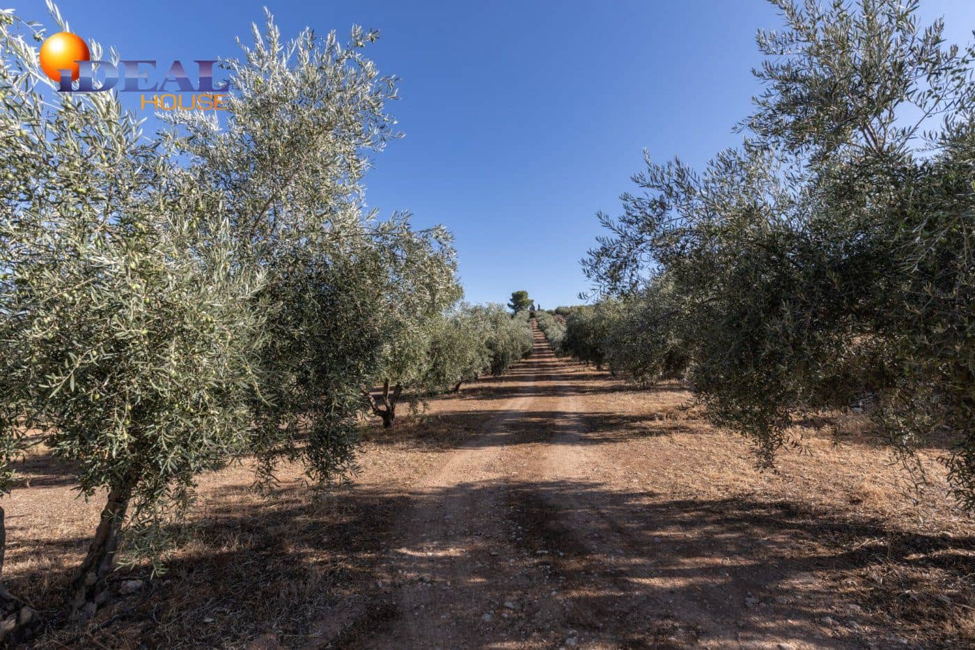 2 bedroom Finca/Country House for sale in Cogollos Vega with pool - € 139,900 (Ref: 9433682)