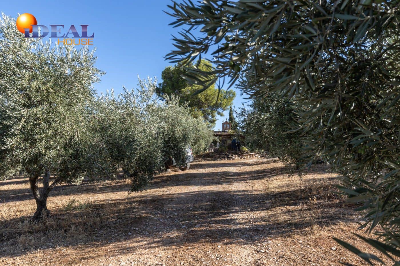 2 bedroom Finca/Country House for sale in Cogollos Vega with pool - € 139,900 (Ref: 9433682)