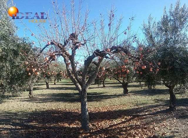 Finca/Casa Rural en La Zubia en venta - 78.000 € (Ref: 9433703)