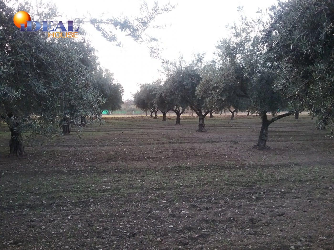 Finca/Casa Rural en La Zubia en venta - 78.000 € (Ref: 9433703)