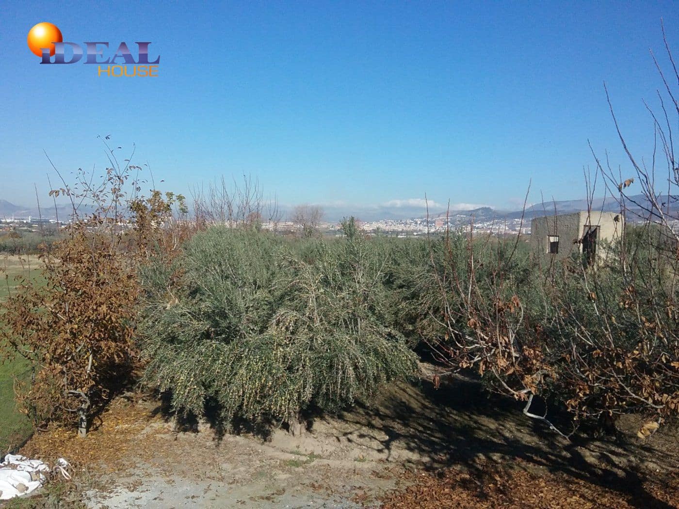 Finca/Casa Rural en La Zubia en venta - 78.000 € (Ref: 9433703)