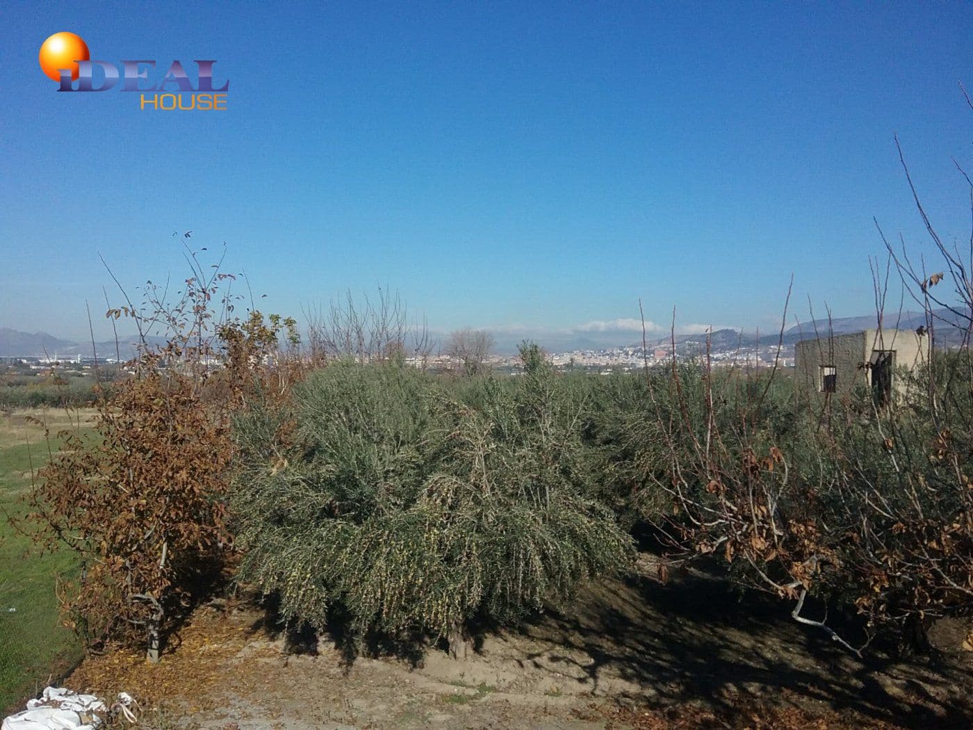 Finca/Casa Rural en La Zubia en venta - 78.000 € (Ref: 9433703)