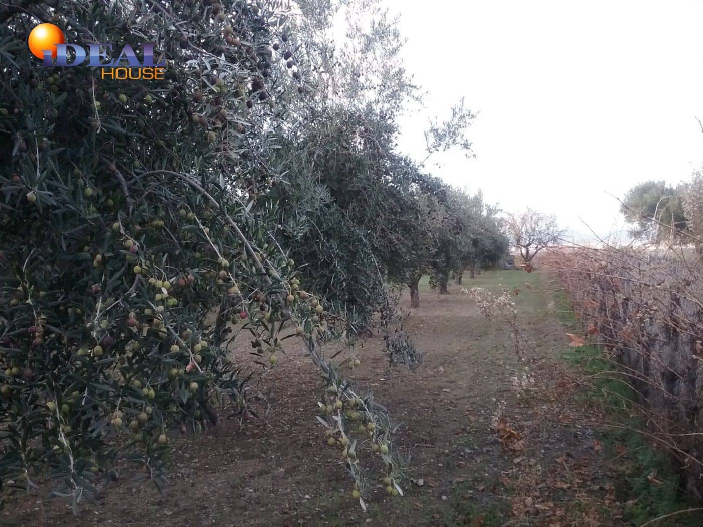 Finca/Casa Rural en La Zubia en venta - 78.000 € (Ref: 9433703)