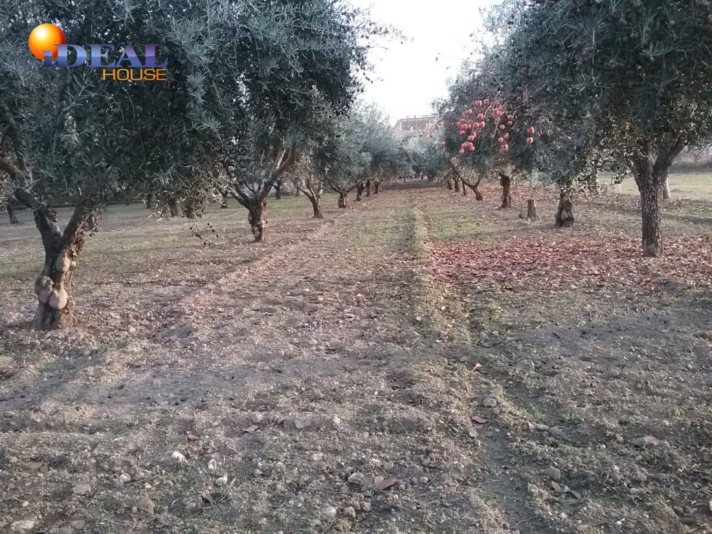 Finca/Casa Rural en La Zubia en venta - 78.000 € (Ref: 9433703)