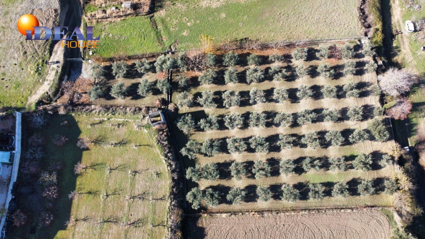 Finca/Casa Rural en La Zubia en venta - 78.000 € (Ref: 9433703)