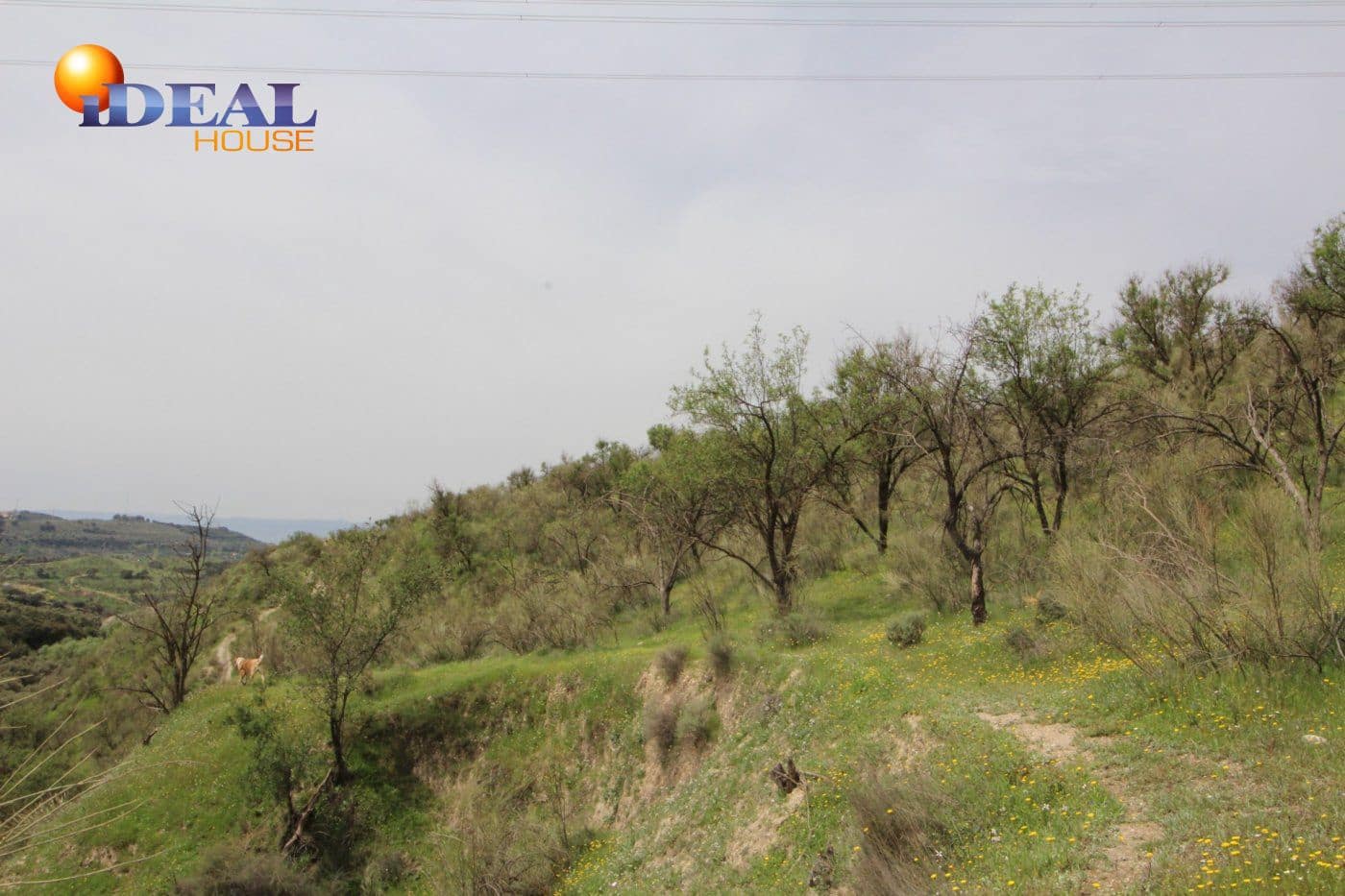 Finca/Country House for sale in Viznar - € 110,000 (Ref: 9433713)