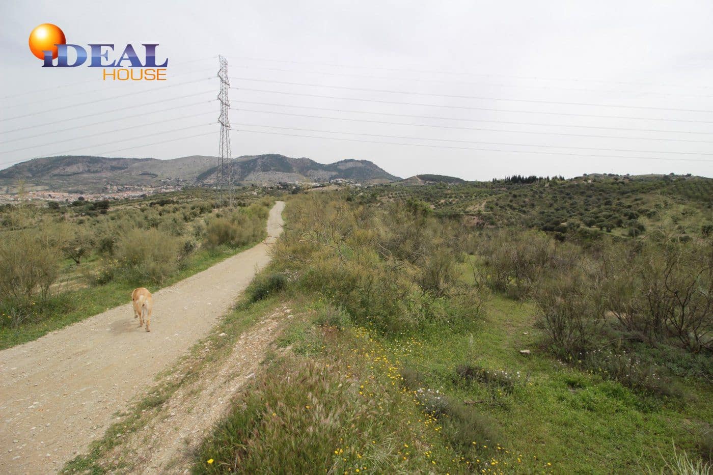 Finca/Country House for sale in Viznar - € 110,000 (Ref: 9433713)