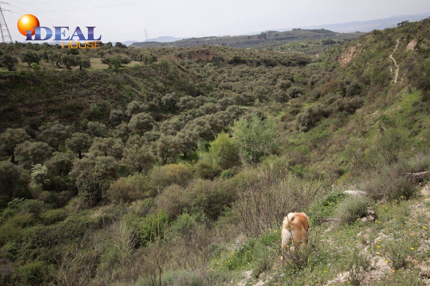 Finca/Country House for sale in Viznar - € 110,000 (Ref: 9433713)