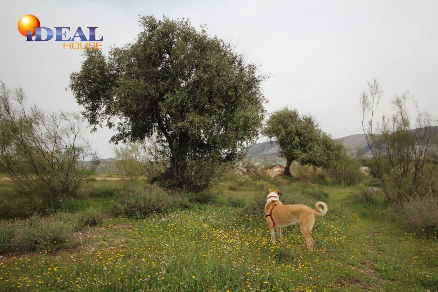 Finca/Country House for sale in Viznar - € 110,000 (Ref: 9433713)