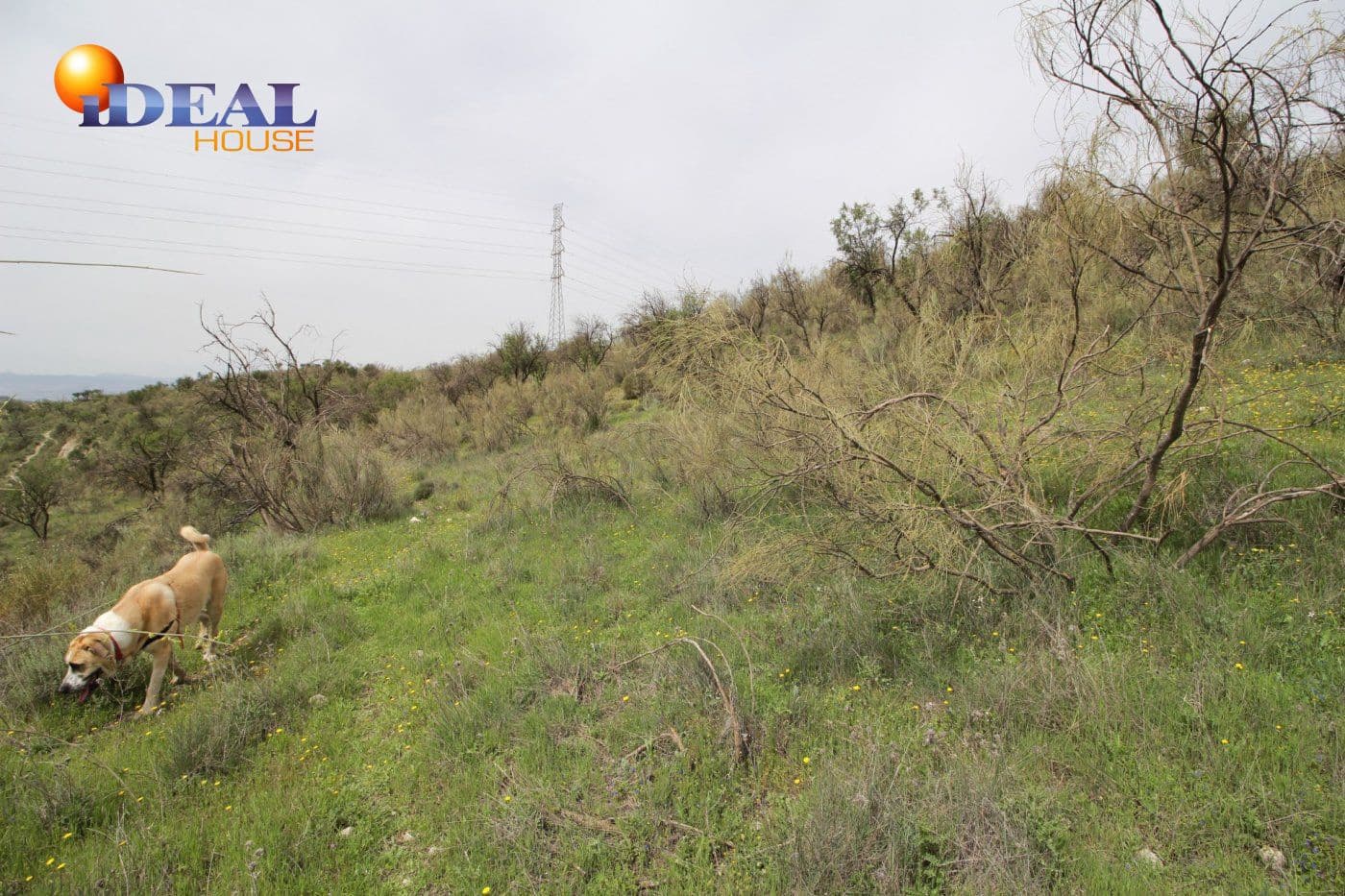 Finca/Country House for sale in Viznar - € 110,000 (Ref: 9433713)