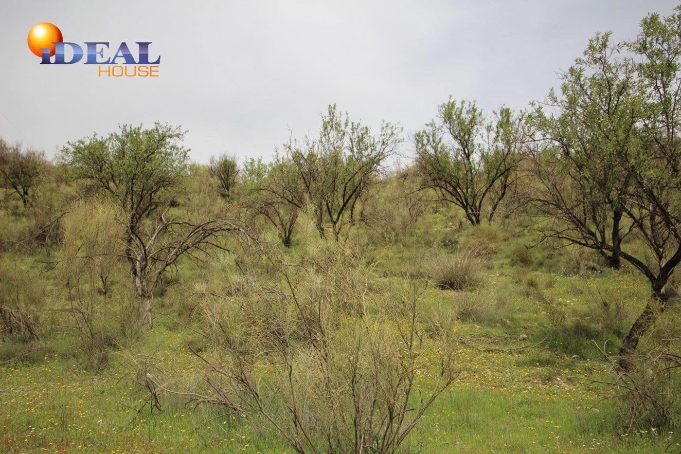 Finca/Country House for sale in Viznar - € 110,000 (Ref: 9433713)