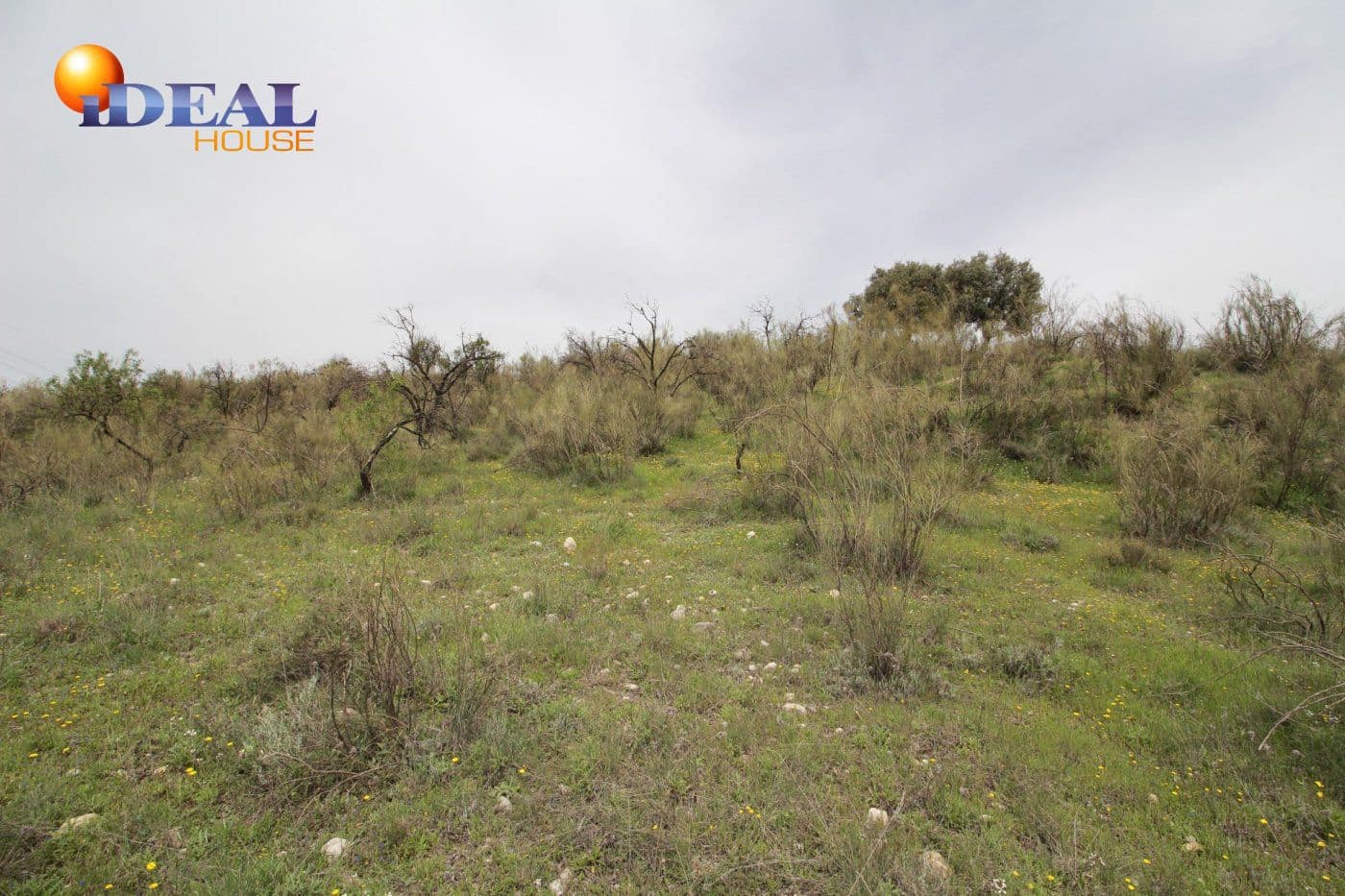 Finca/Country House for sale in Viznar - € 110,000 (Ref: 9433713)