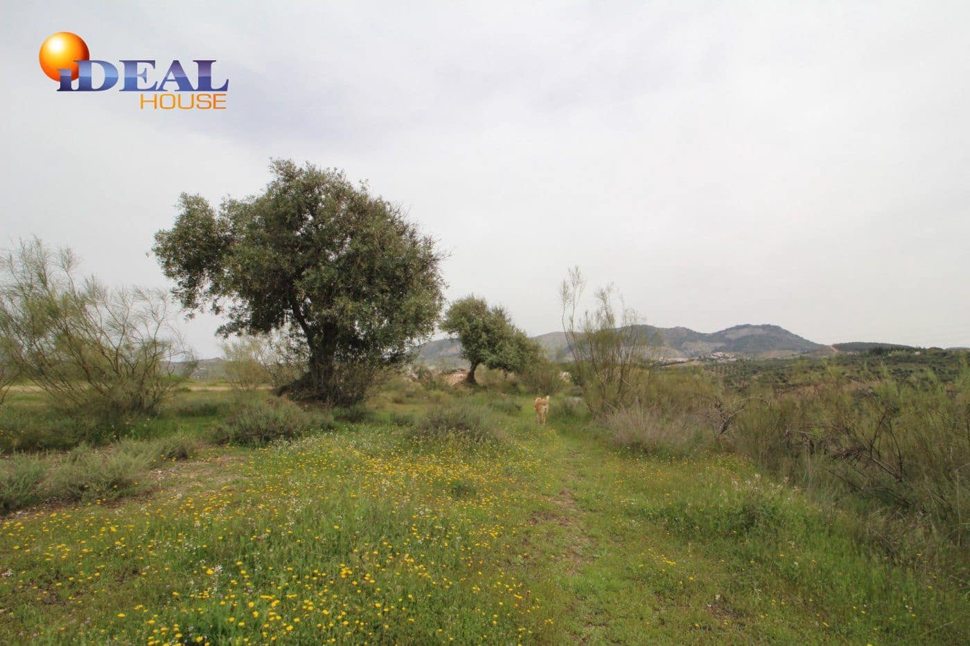 Finca/Country House for sale in Viznar - € 110,000 (Ref: 9433713)