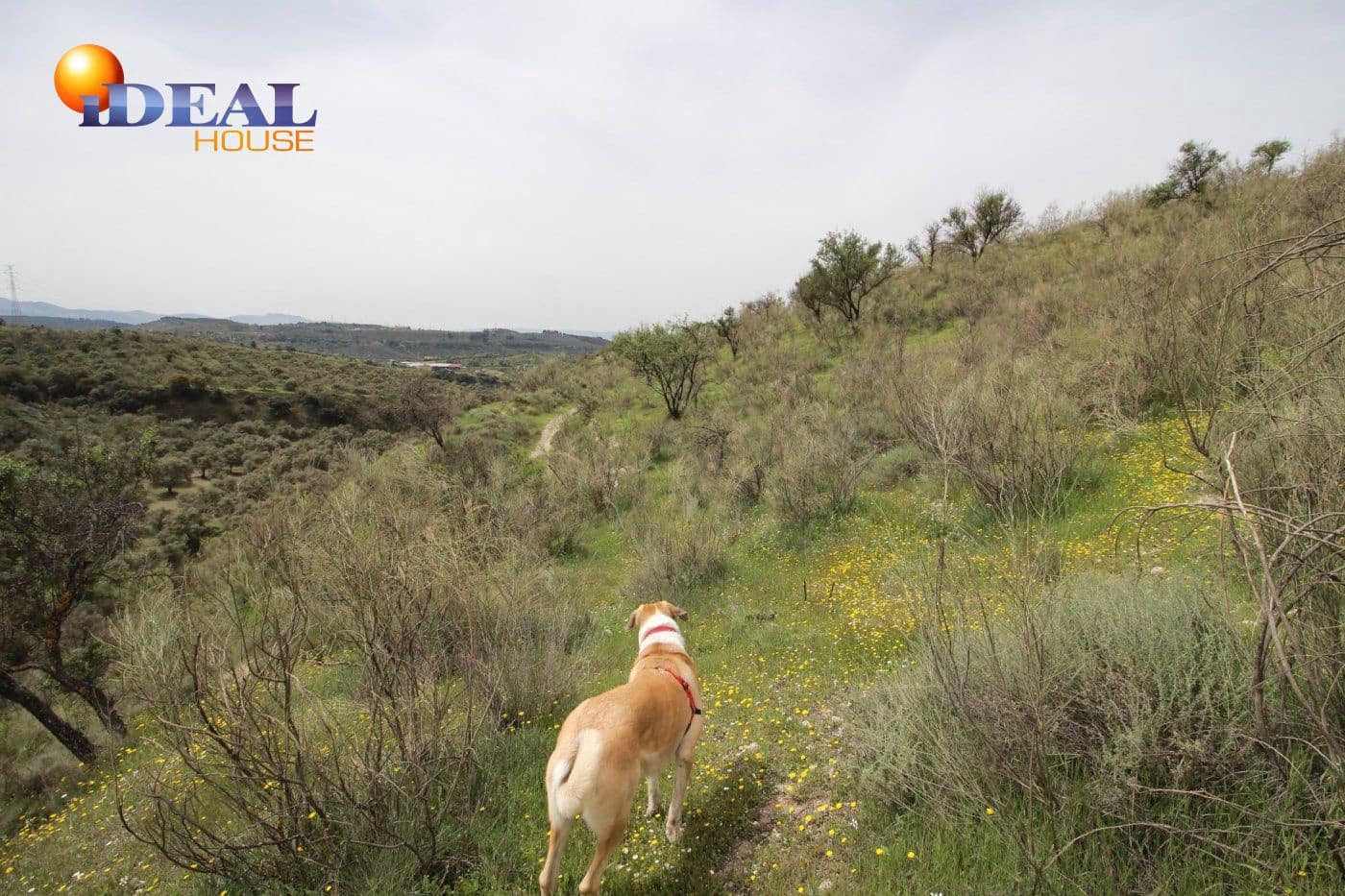 Finca/Country House for sale in Viznar - € 110,000 (Ref: 9433713)