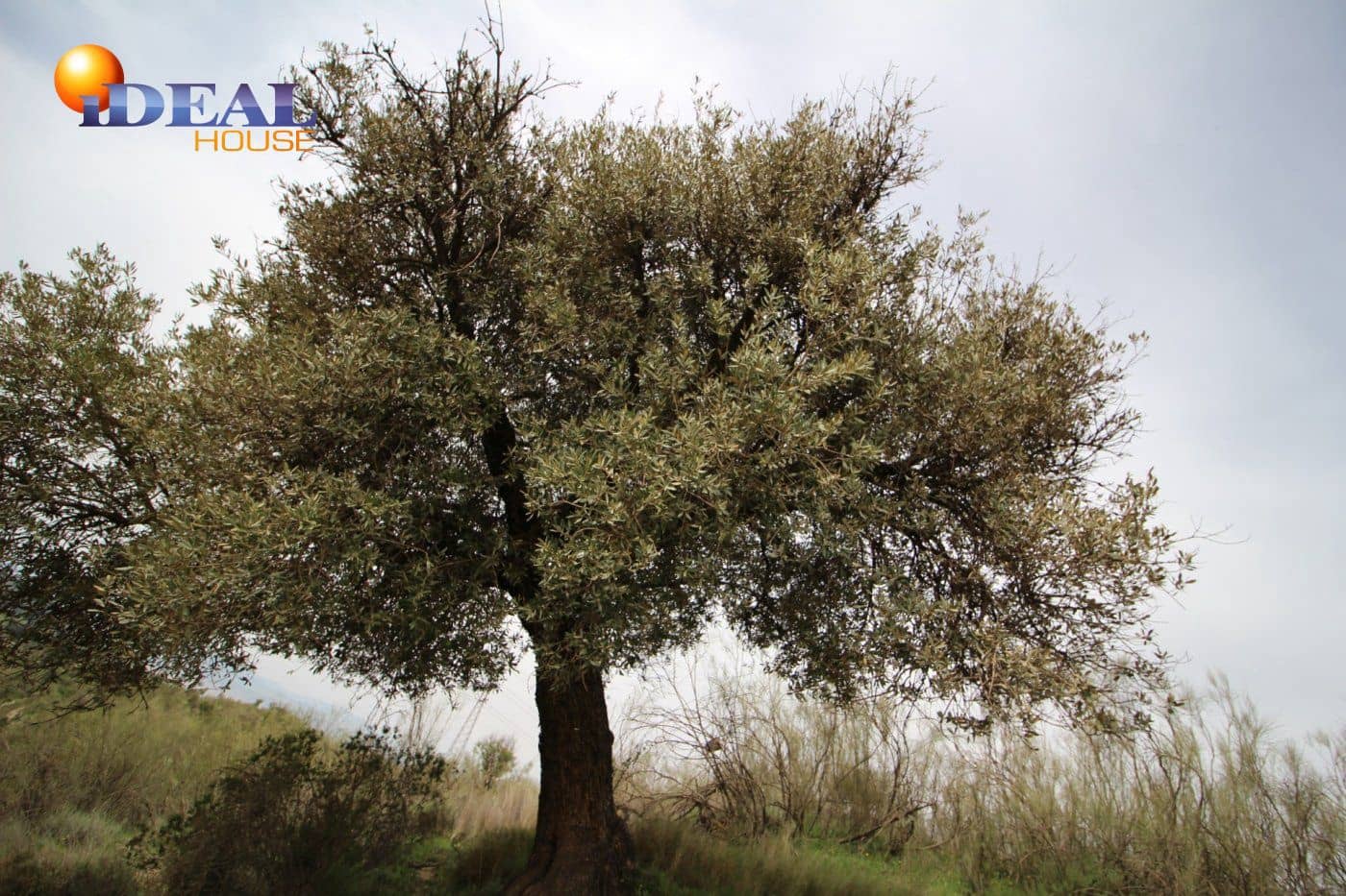 Finca/Country House for sale in Viznar - € 110,000 (Ref: 9433713)