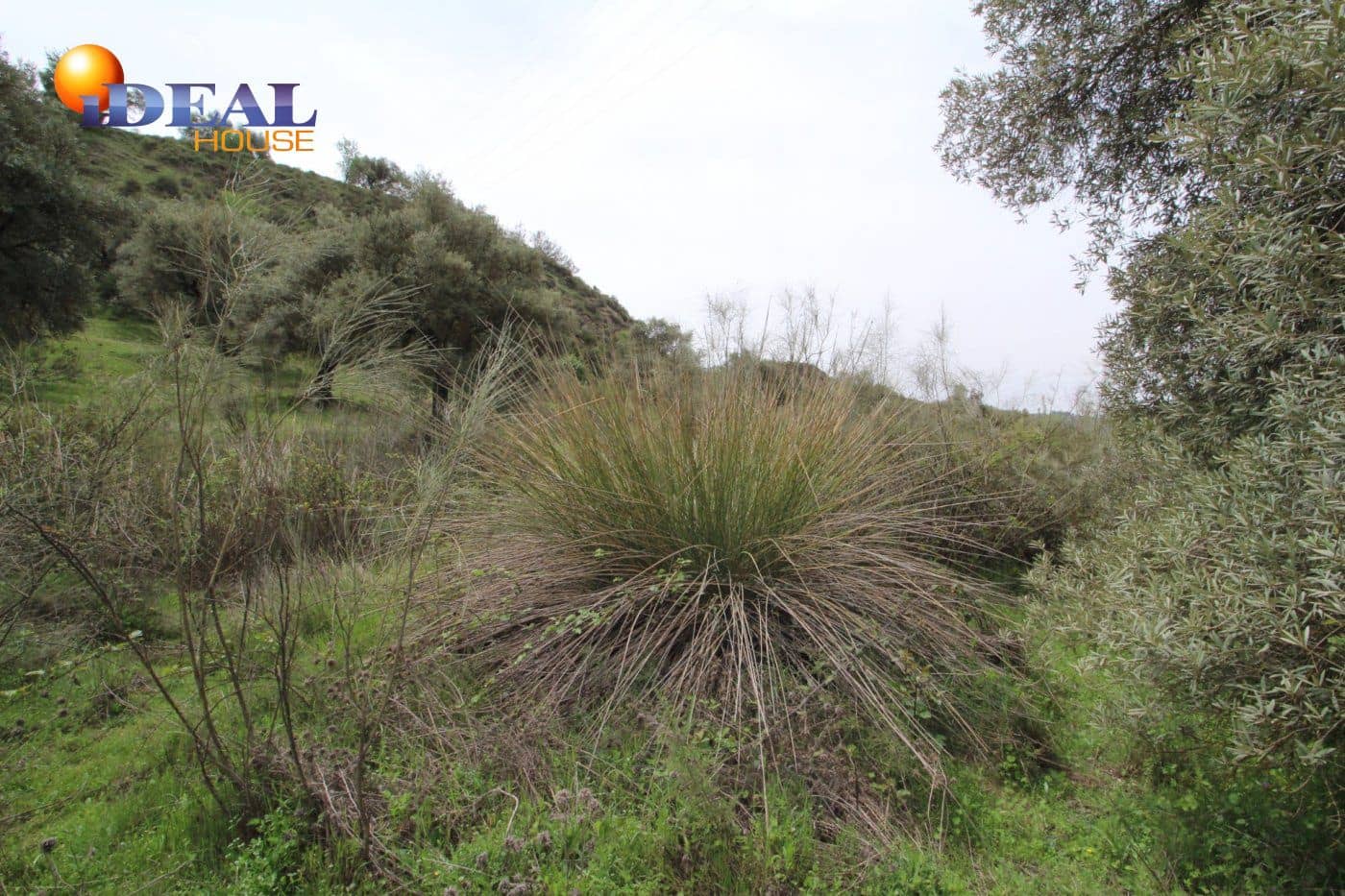 Finca/Country House for sale in Viznar - € 110,000 (Ref: 9433713)