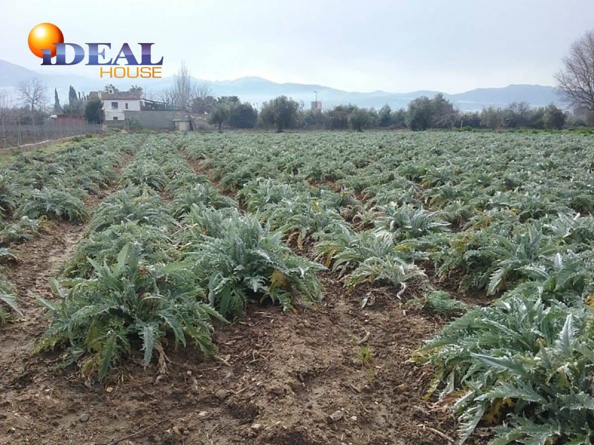 Finca/Landgut zu verkaufen in Granada Stadt - 53.000 € (Ref: 9433721)