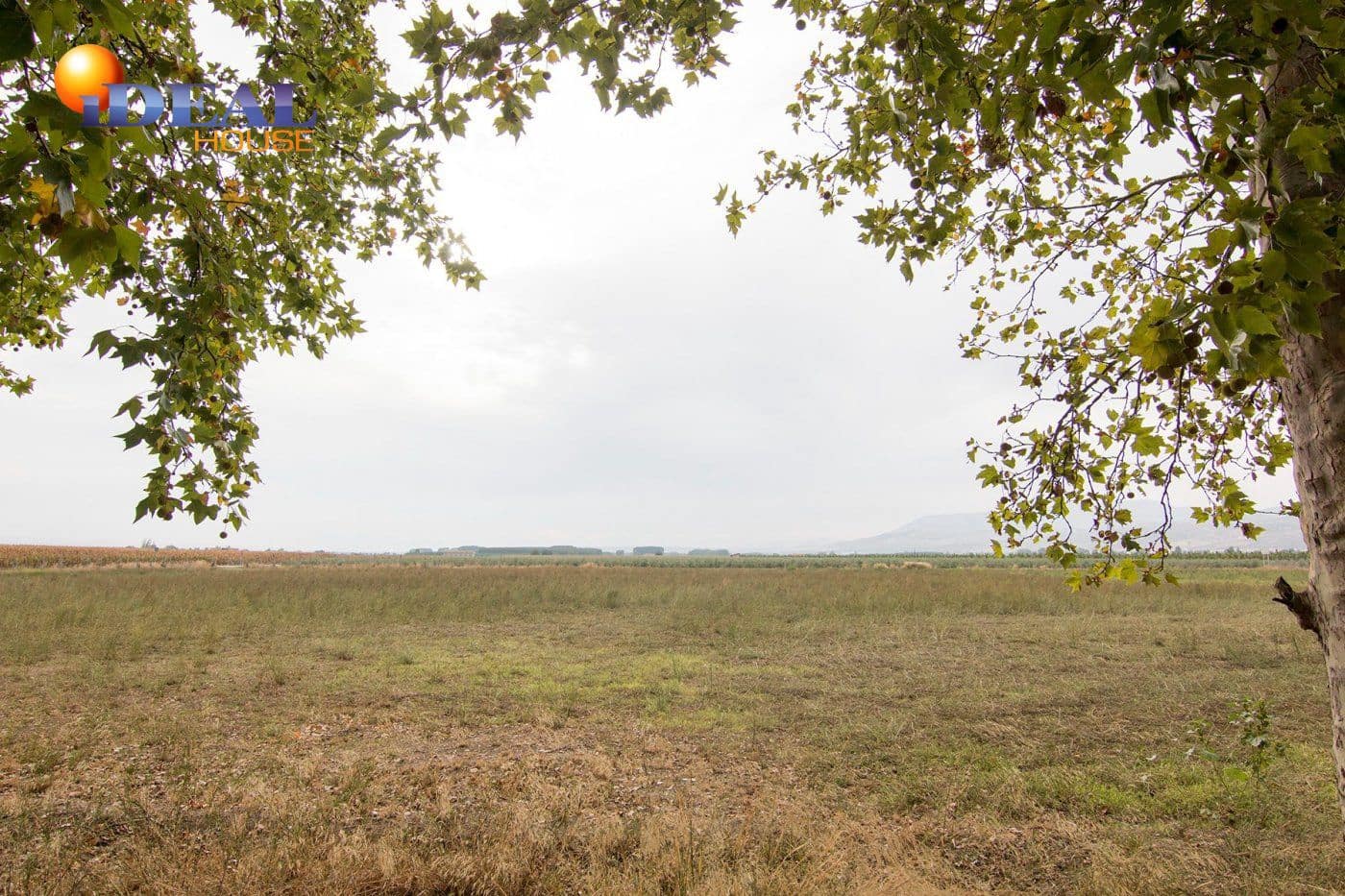 1 sypialnia Finka/Dom wiejski na sprzedaż w Pinos Puente - 370 000 € (Ref: 9433734)