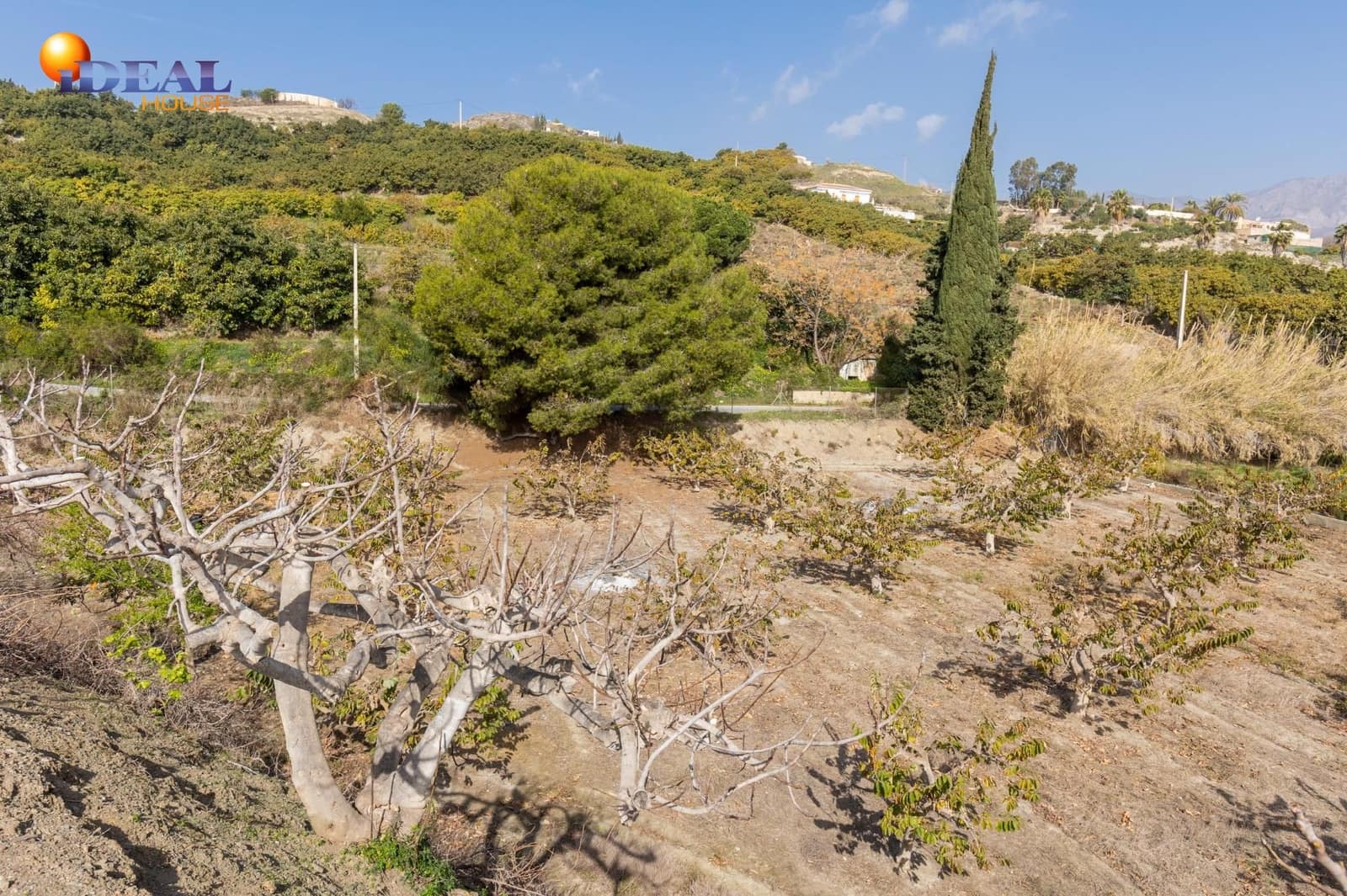 2 bedroom Finca/Country House for sale in Salobrena - € 160,000 (Ref: 9433753)