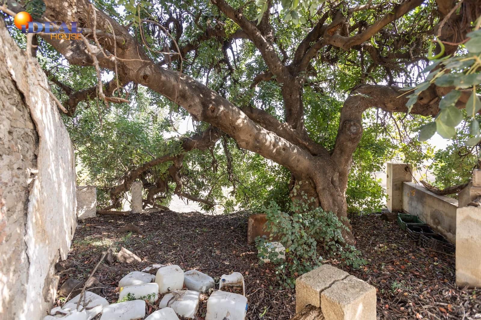 2 bedroom Finca/Country House for sale in Salobrena - € 160,000 (Ref: 9433753)