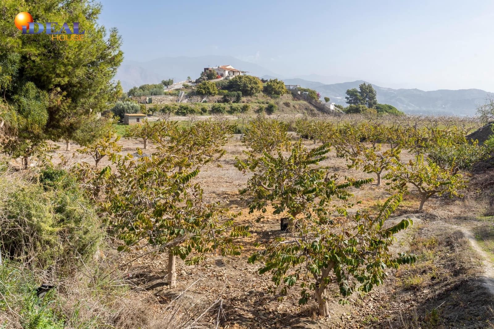 2 bedroom Finca/Country House for sale in Salobrena - € 160,000 (Ref: 9433753)