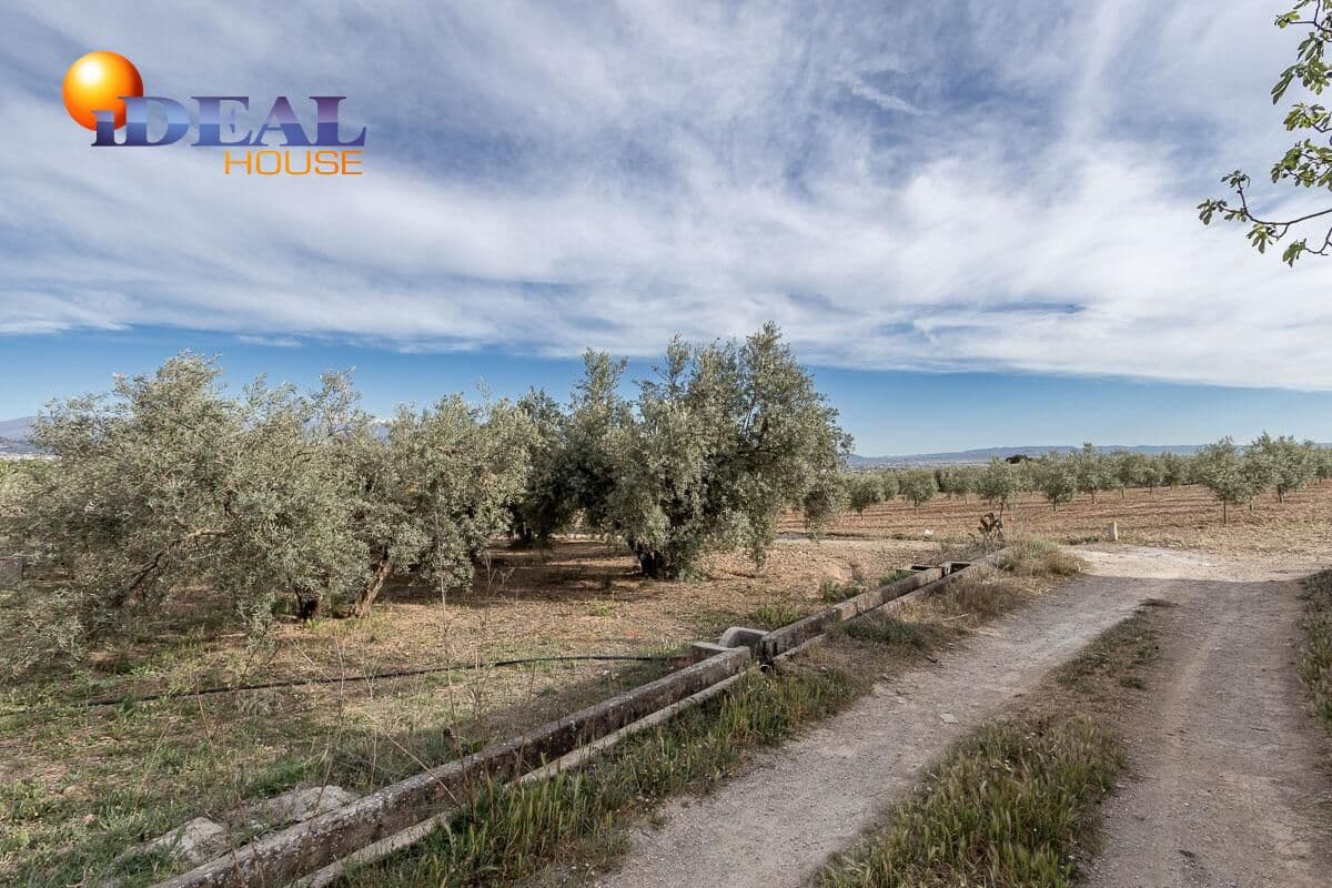 Byggegrund til salg i Albolote - € 35.000 (Ref: 9433759)