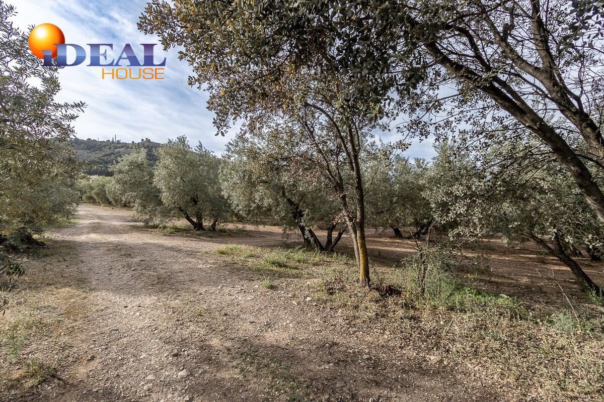 Byggegrund til salg i Albolote - € 35.000 (Ref: 9433759)