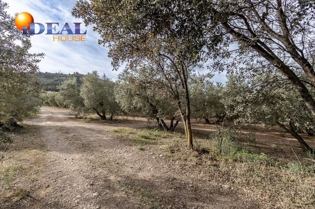 Byggegrund til salg i Albolote - € 35.000 (Ref: 9433759)